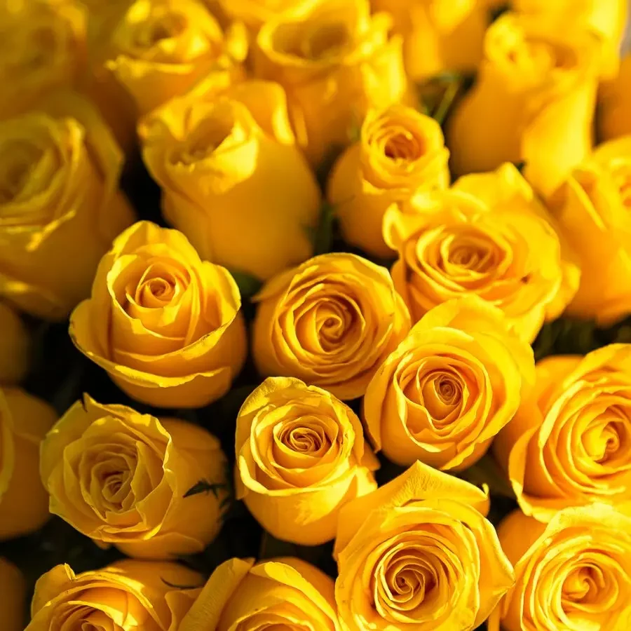 Image Slider