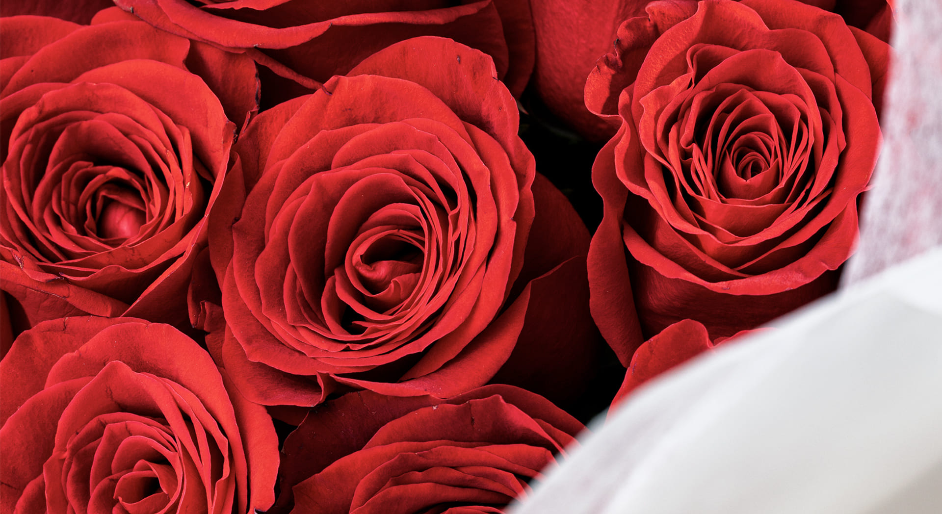 Image Slider