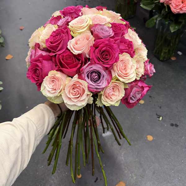 Rosas 51 mix Rosas 51 mix